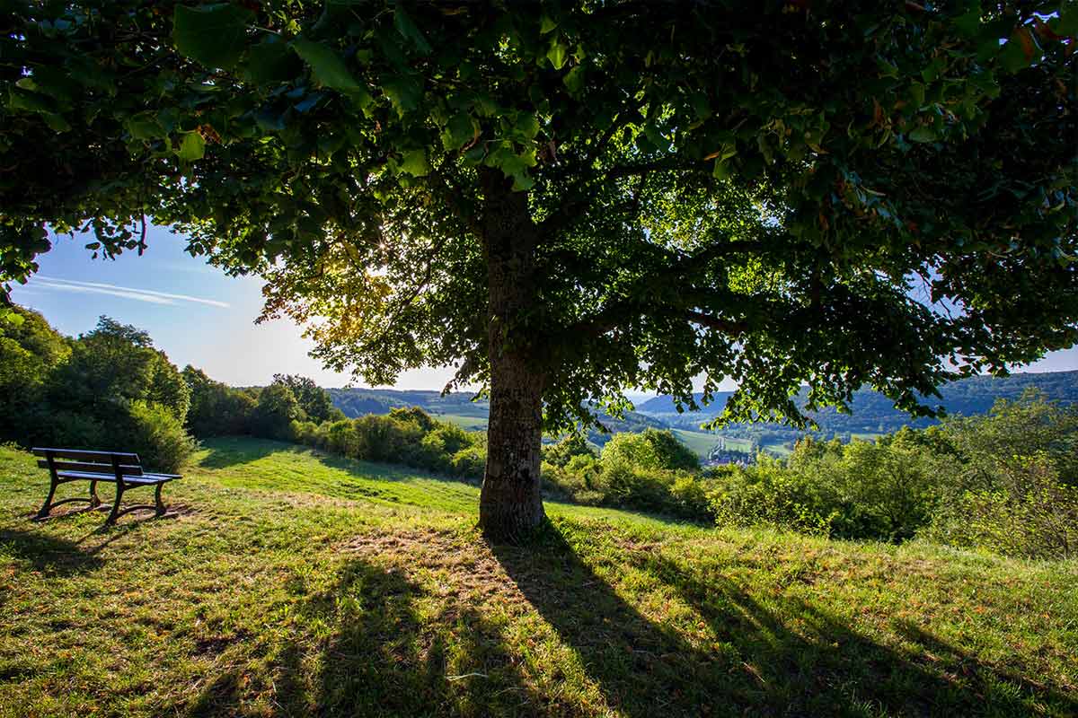 View over the vines from Saint-Romain le Haut