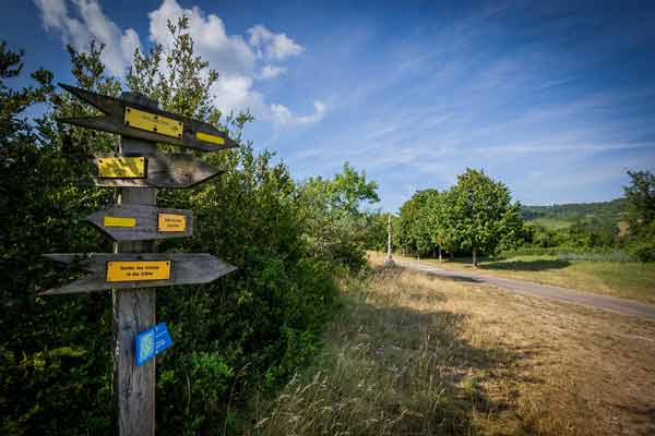 Many trails criss-cross the region